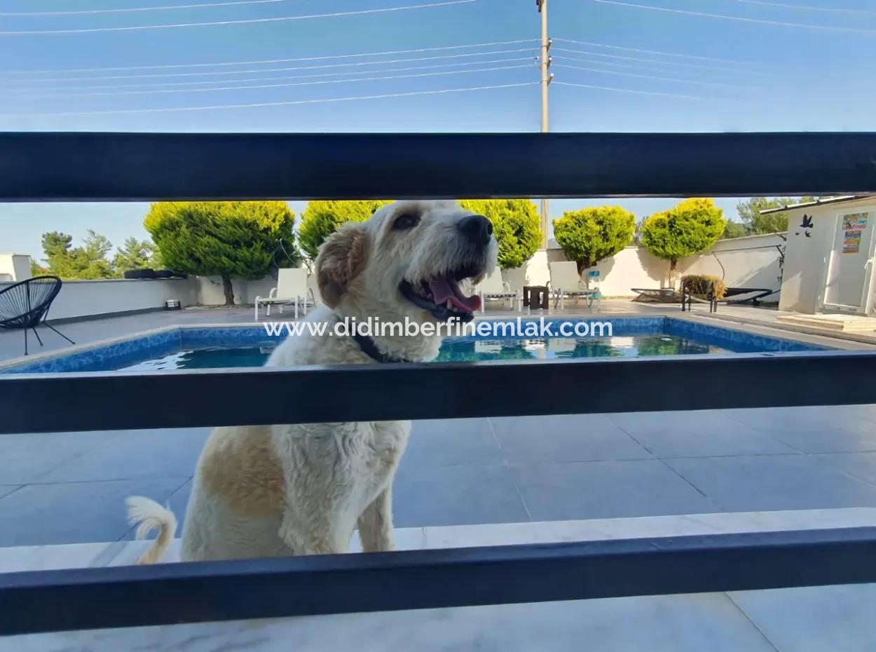 Didim'de Seyrantepede Satılık Havuzlu 4+1 Villa