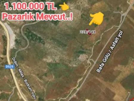 Olive Grove For Sale In Mugla Milasta At An Affordable Price